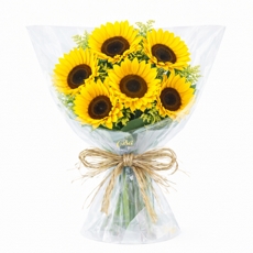 Delicado com 6 Girass�is 