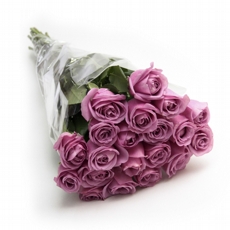 unidade de rosa lilas-N�O CONTEM EMBALAGEM