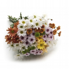 Ma�o De Flores Do Campo -12 hastes NAO CONTEM EMBALAGEM PARA PRESENTE