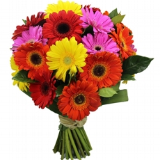 Buqu� De G�rberas Coloridas