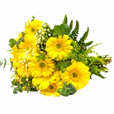 Buqu� de G�rberas Amarelas