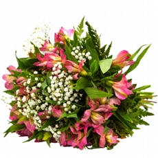 Buqu� de Astrom�lia Cor de Rosa
