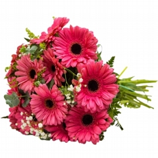 Buqu� com G�rberas Cor de Rosa