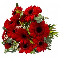 Buqu� com G�rberas Vermelhas