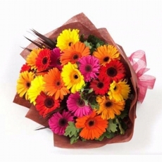 encanto de gerberas