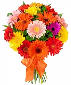 buquet mix de gerberas