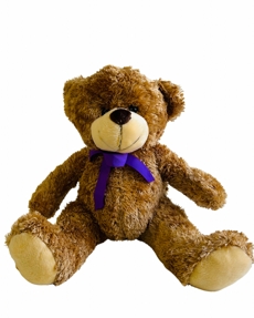 urso toddy
