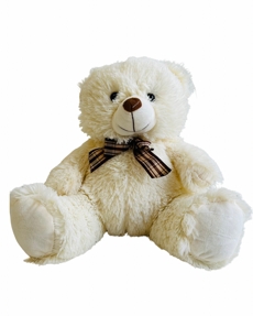 urso pepito