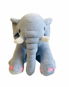 elefante regis