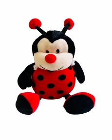 joaninha