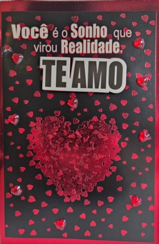 voce e o sonho que virou realidade