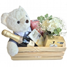 cesta urso ted