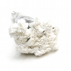 cravo branco