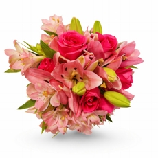Buqu� Pink Elegance