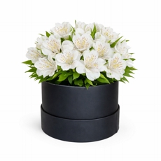 Arranjo de Astrom�lias Brancas Hat Box Luxo