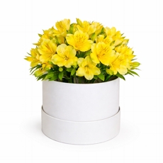 Arranjo de Astrom�lias Amarelas Hat Box Luxo
