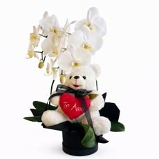 Orqu�dea Branca 2 Hastes no Hat Box com Pel�cia Te Amo