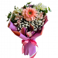 Buqu� Coreano de G�rbera