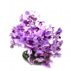 Super Arranjo De Orquideas Phaleanopsis Lilas No Vaso De Vidro
