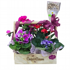 Cesta de Flores