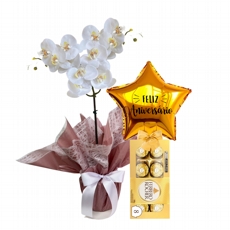 Orqudea Mimo e Balo Com Chocolate