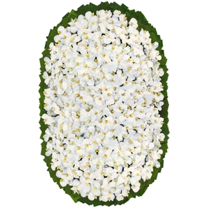Coroa Flores da Vida Orquideas Brancas