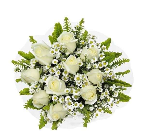 White Rose 10 Rosas Brancas