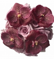 Buquê Orquídea Fascinante 