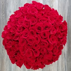 Buque de Rosas Colombianas Glamour Red (100 hastes)