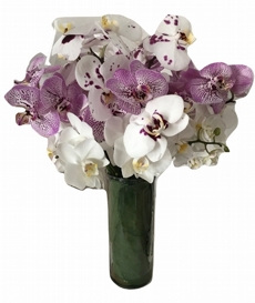 Arranjo de Orquídeas Doce Amor 