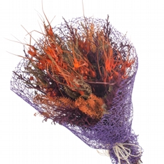Buque de Flores Desidratadas Extico II