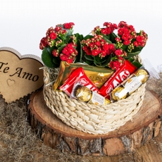 Cesta de Chocolate Rico Corao