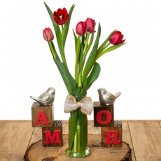Arranjo de Tulipa Vermelha