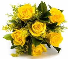 Buquê de Rosas Amarelas (6 unidades) 
