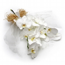 Buquê de Orquidea Phalaenópsis Branca 