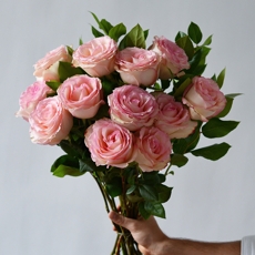 Buque de Rosas Colombianas Rosa (12 unidades)