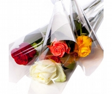 Kit com 10 botões de Rosas Coloridas embaladas em Papel Celofane