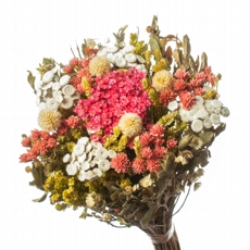 Buqu Preservado Rstico Colorido N16 I Flores Desidratadas