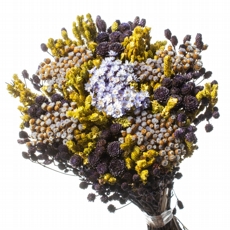 Buquê Preservado Rústico Colorido N4 I Flores Desidratadas