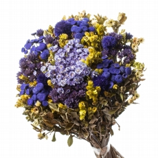 Buquê Preservado Rústico Colorido N6 I Flores Desidratadas