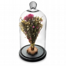 Arranjo de Flores Secas na Cpula Rosa Forte Redoma 30cm