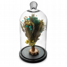 Arranjo de Flores Secas na Cpula V1 Redoma 30cm
