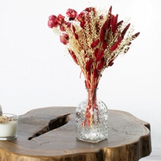 Arranjo + Vaso de Flores Secas Sementinha Gato vermelha