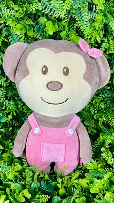 PEL�CIA MACACO MENINA 