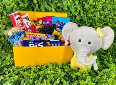 CESTA AMIGUINHOS DA FLORESTA ELEFANTE MENINA