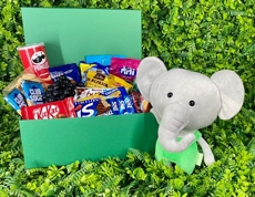 CESTA AMIGUINHOS DA FLORESTA ELEFANTE MENINO