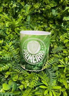 CANECA DO PALMEIRAS 