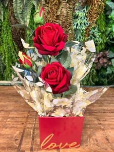 Arranjo Rosas Colombianas