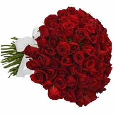 Buqu de 100 Rosas Vermelhas Exploso de Amor 