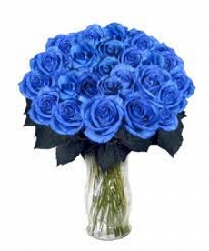 Arranjo de 20 Rosas Azuis Blue